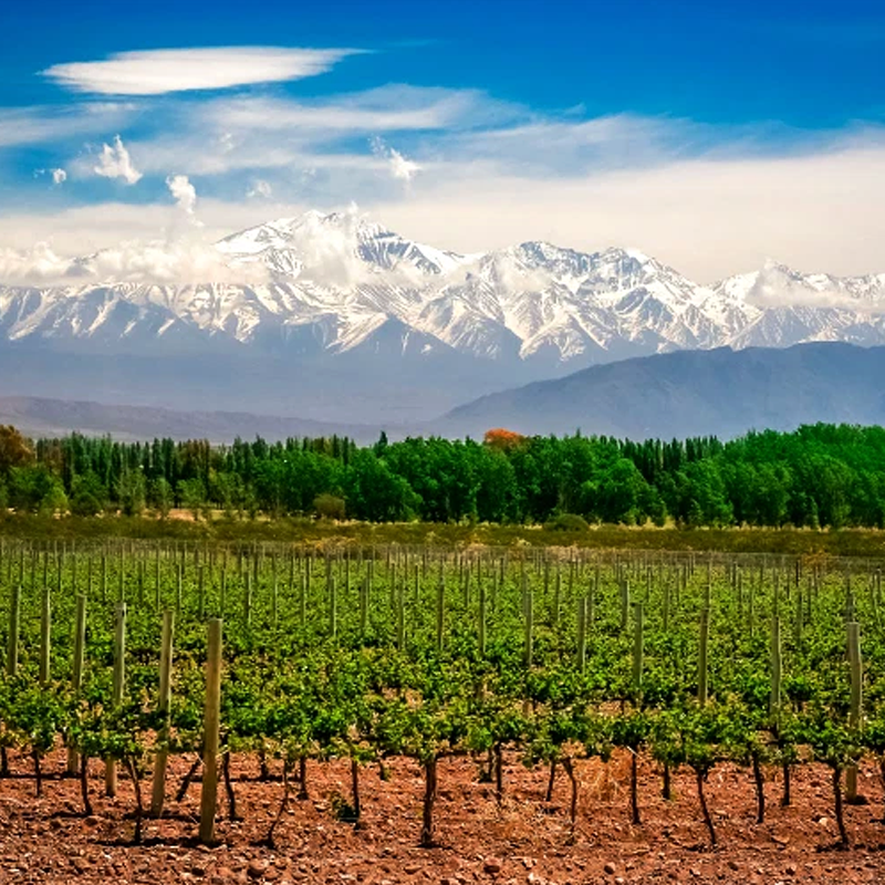 Bodega Chacra