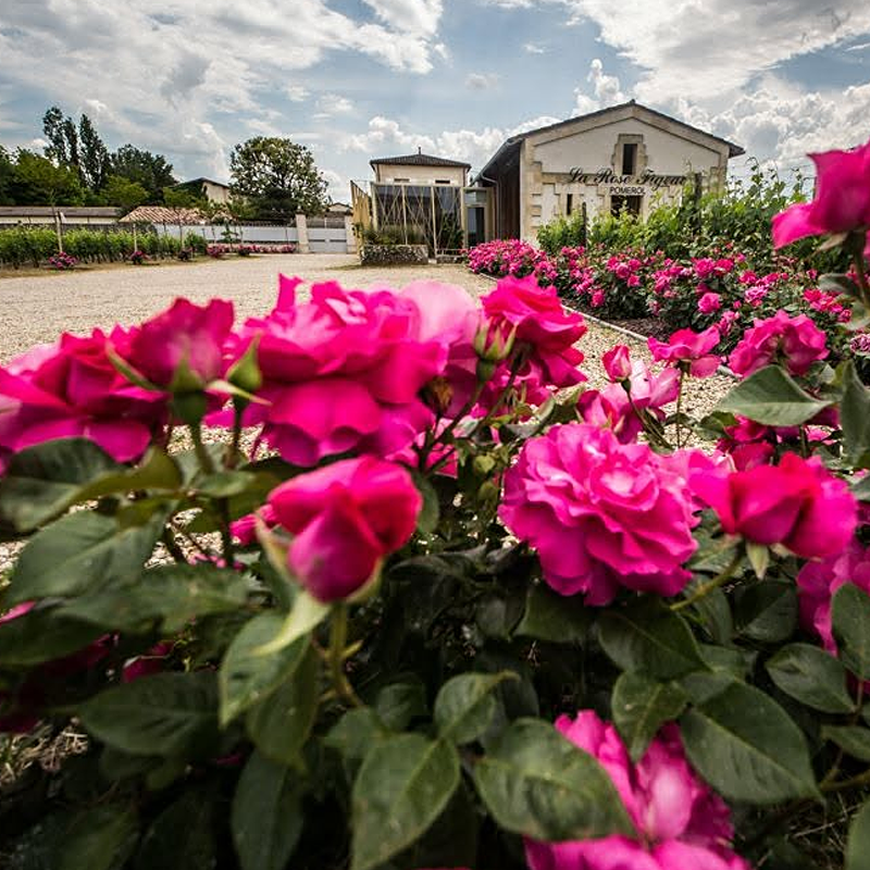 Château La Rose Figeac