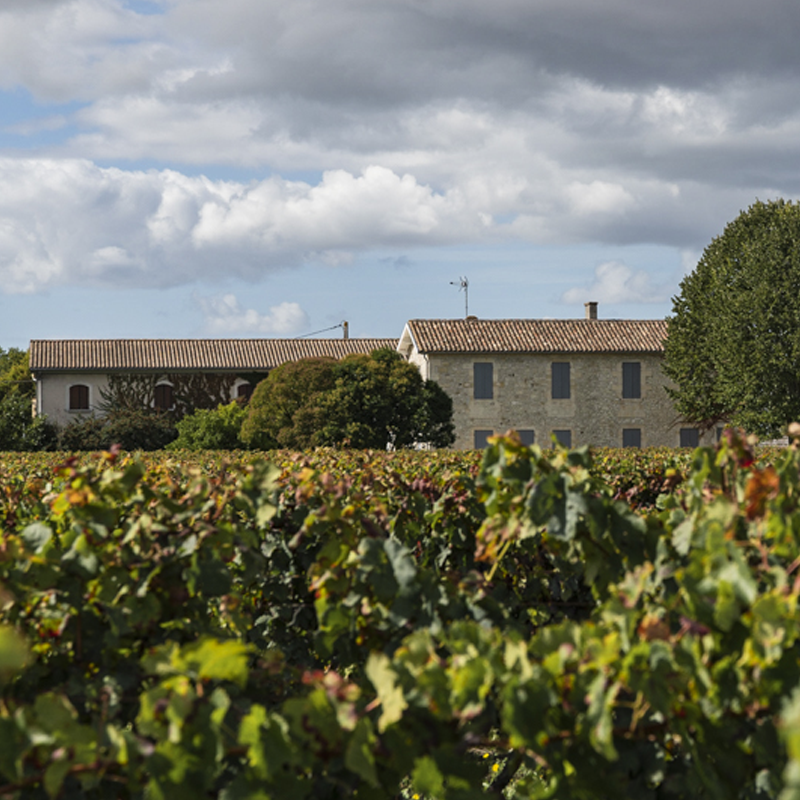 Château Magdeleine Bouhou