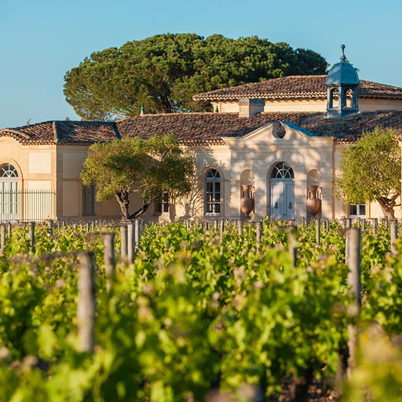 Château Pétrus