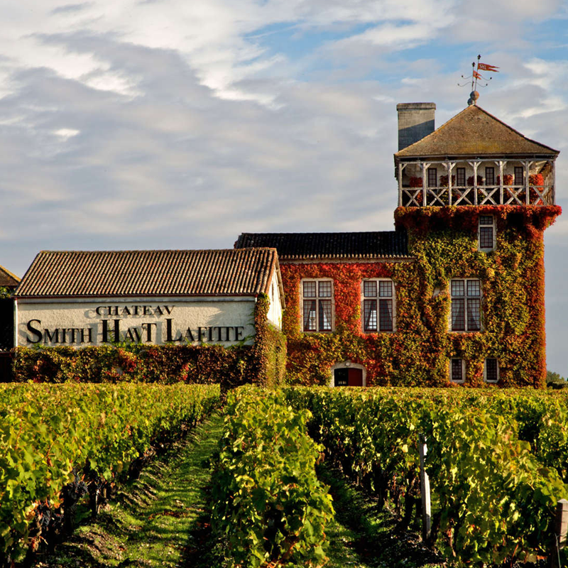 Château Smith Haut Lafitte