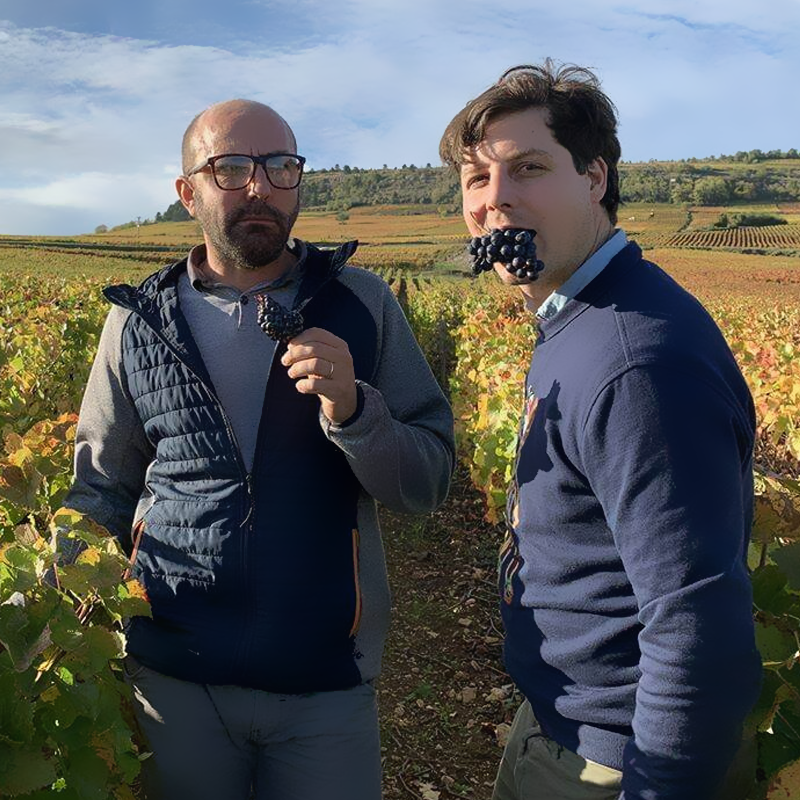 Domaine Ami