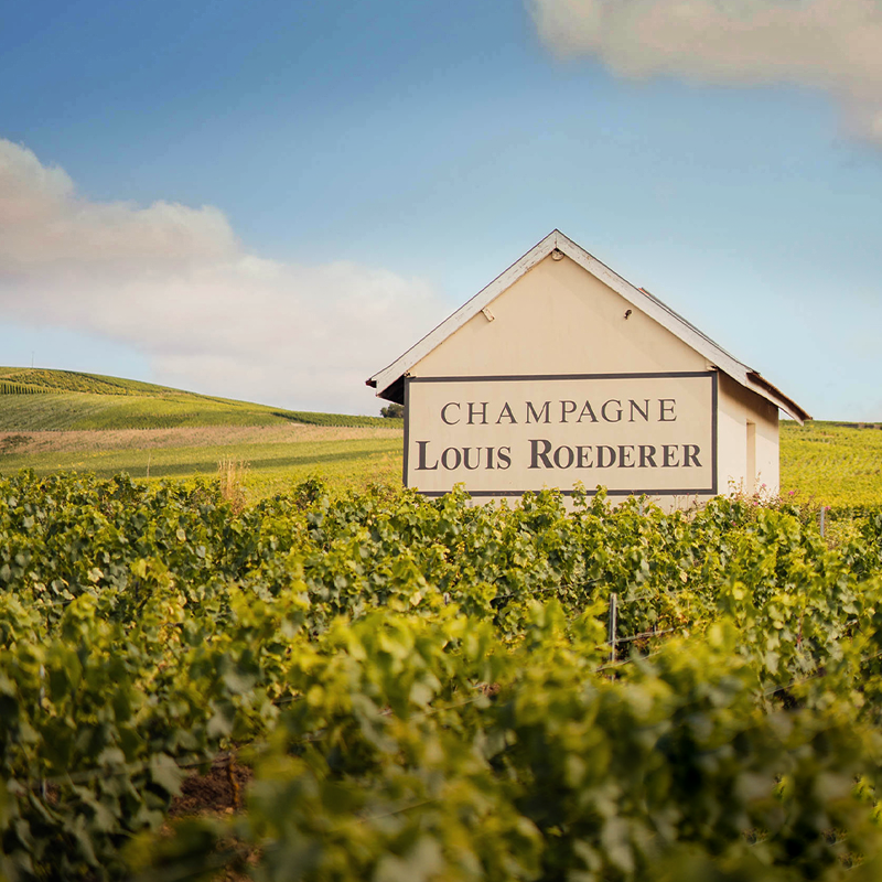 Roederer