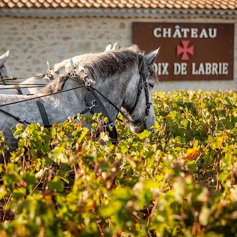 Château Croix de Labrie