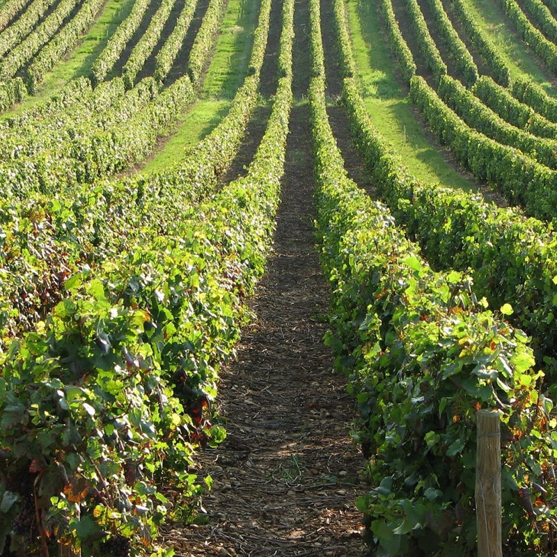 Domaine Perraud