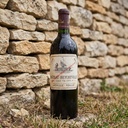 Vinalia ambiance 6