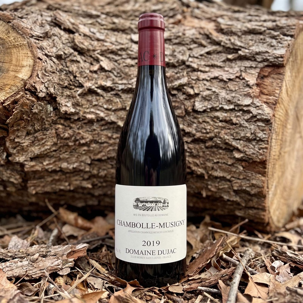 Vinalia ambiance 6