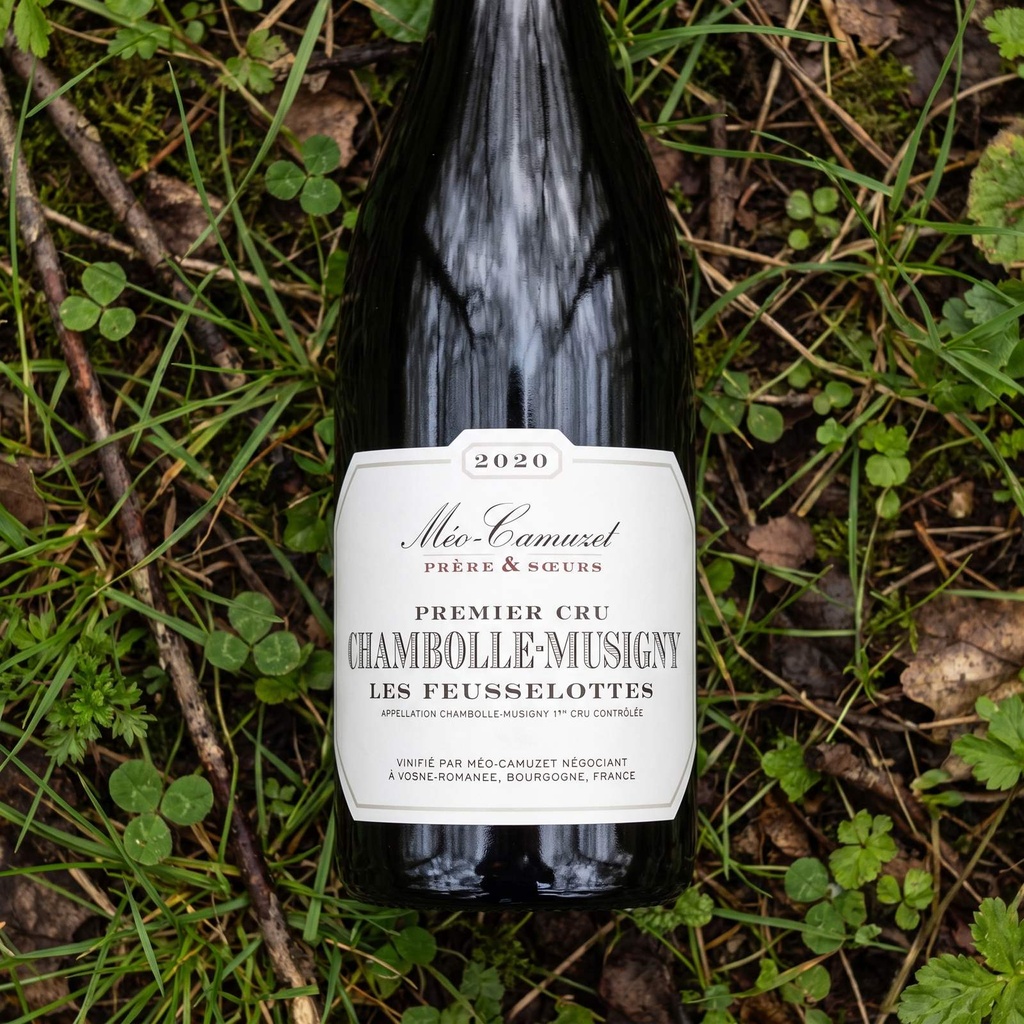 Vinalia ambiance 6