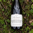 Vinalia ambiance 6