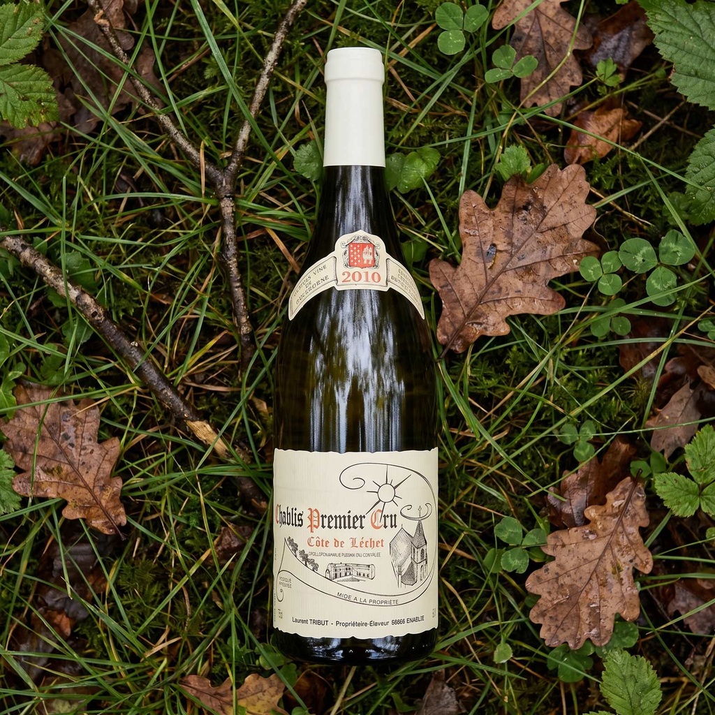 Vinalia ambiance 6
