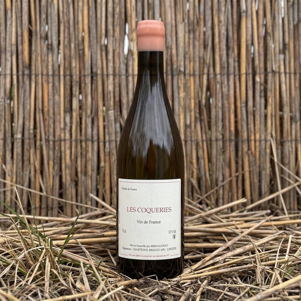Vinalia ambiance 6