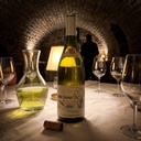 Vinalia ambiance 7