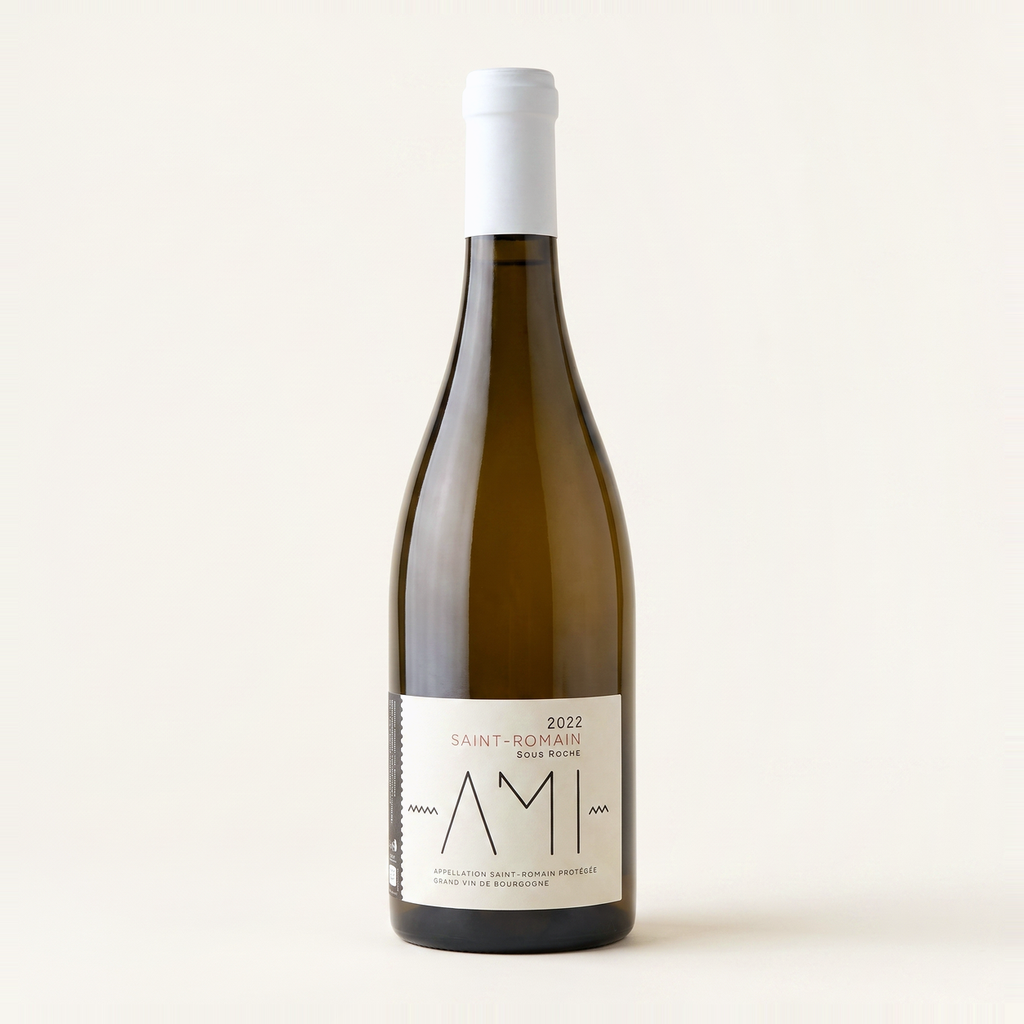 Domaine Ami Saint Romain Sous Roche 2022