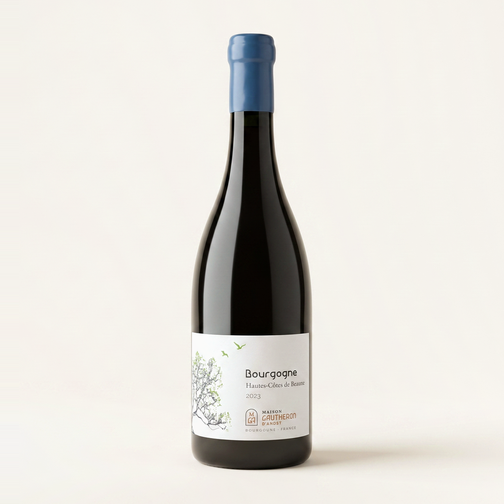 Maison Gautheron D'Anost Bourgogne Hautes Cotes de Beaune Blanc 2023