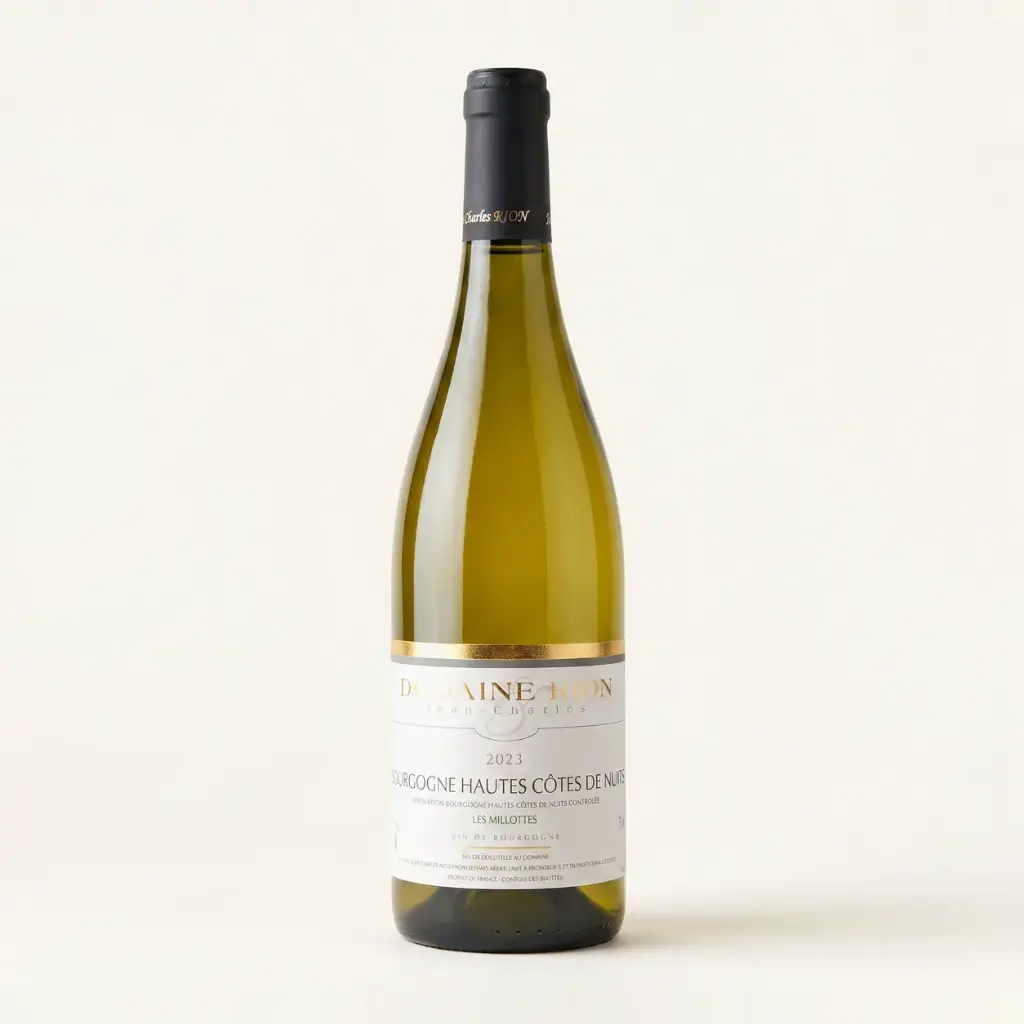 Domaine Jean-Charles Rion Bourgogne Hautes-Côtes de Nuits Blanc 2023