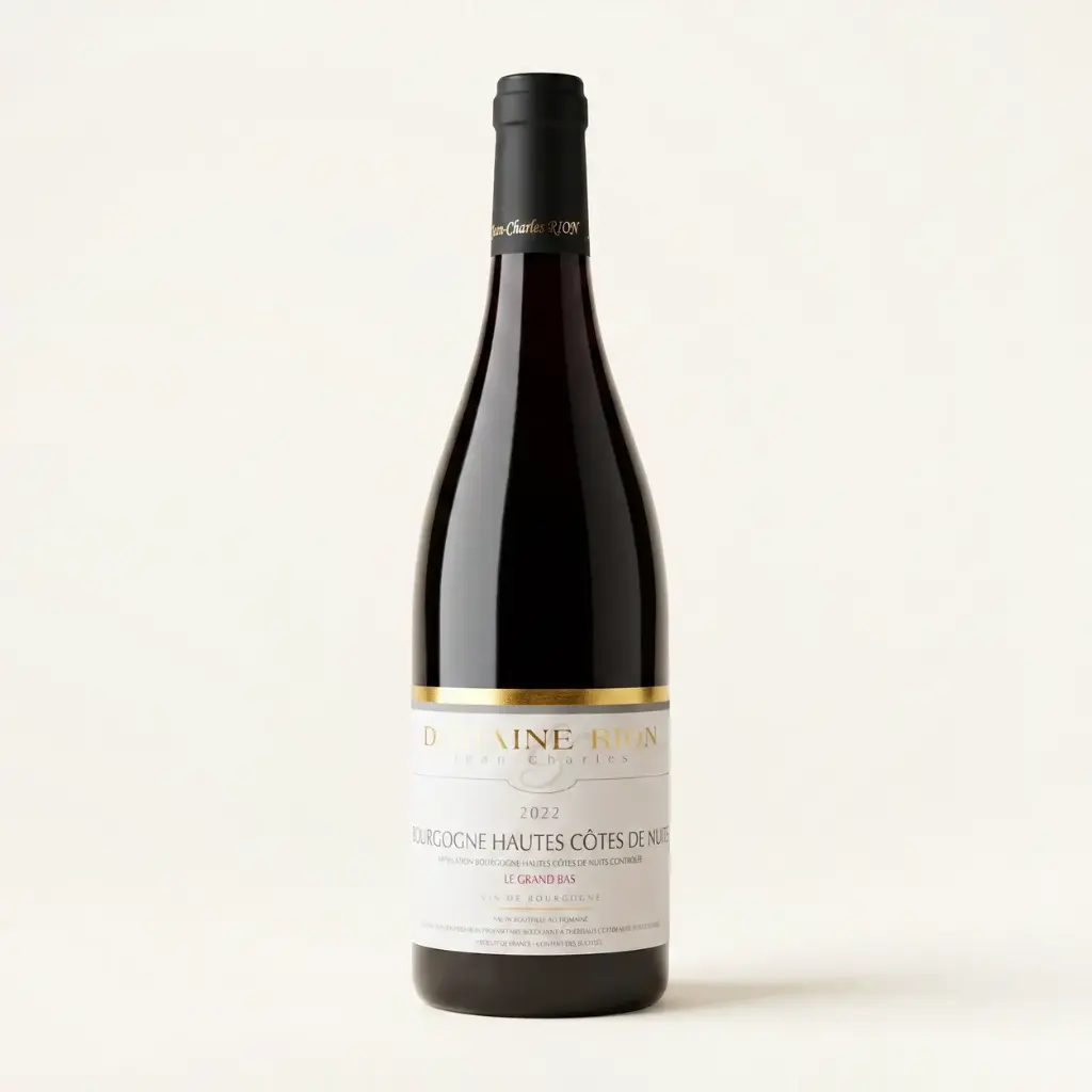 Domaine Jean-Charles Rion Bourgogne Hautes-Côtes de NuitsLe Grand Bras 2022