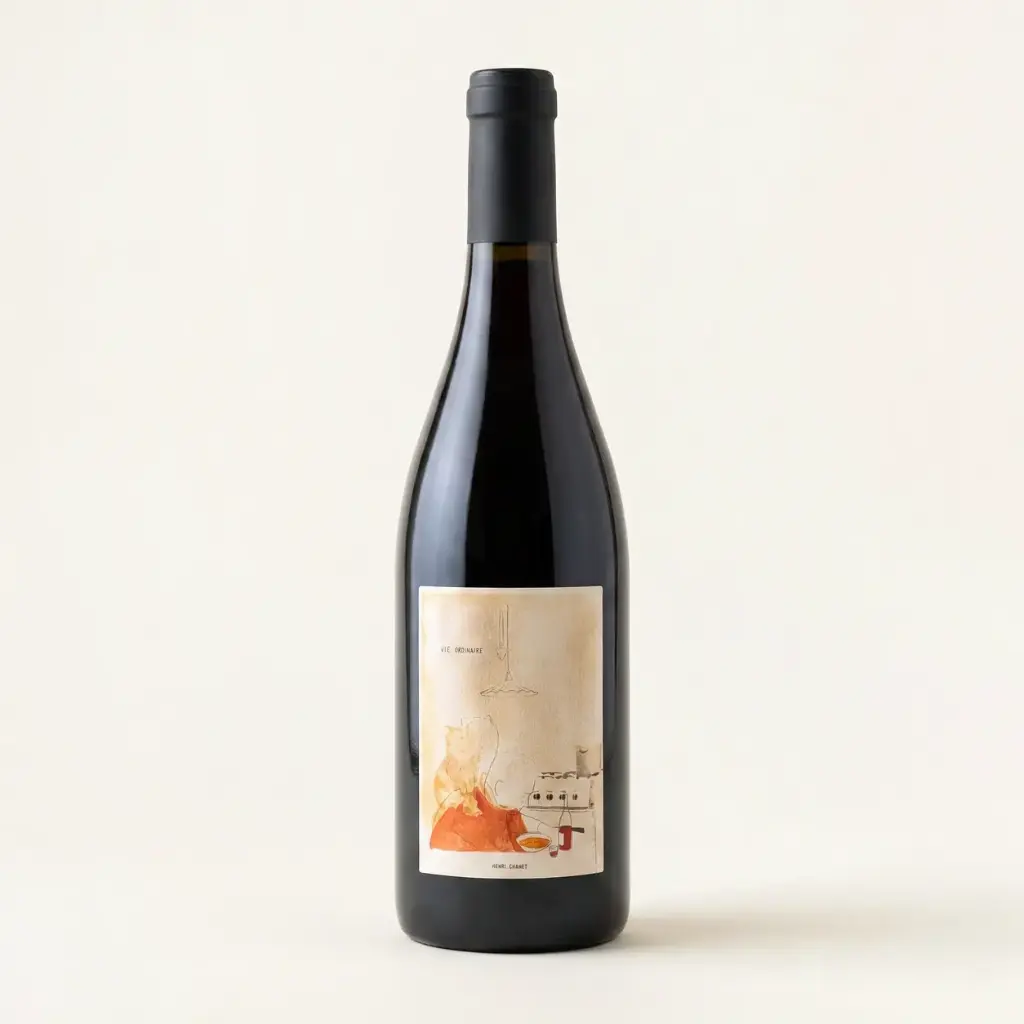 Domaine Henri Chauvet Côtes d'Auvergne Vie Ordinaire 2024