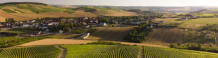Chablis