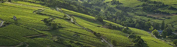 Appellations régionales