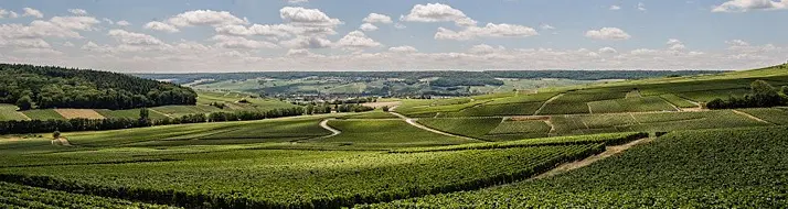 Vallée de la Marne