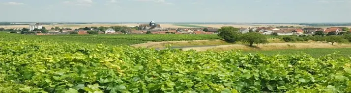 Côte de Sézanne