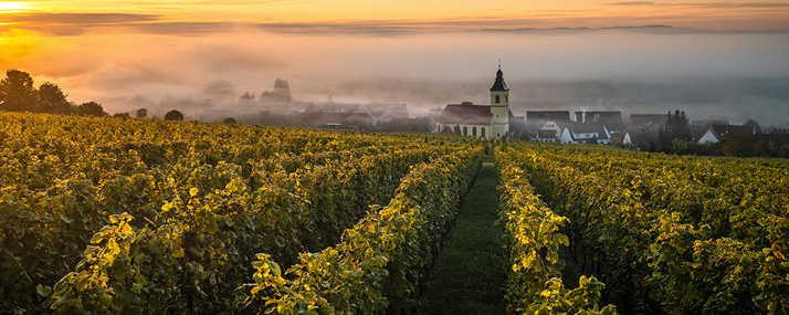 Alsace