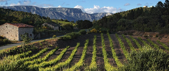 Languedoc