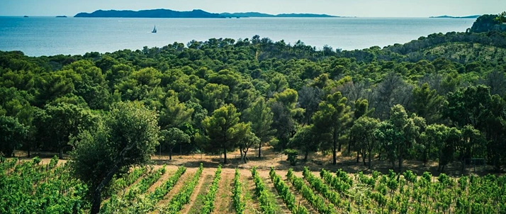 Provence