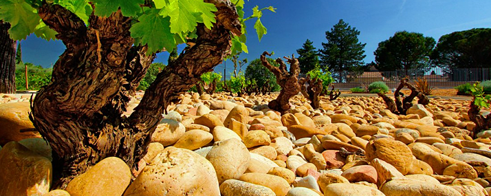 Rhône sud