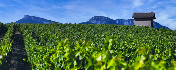 Savoie