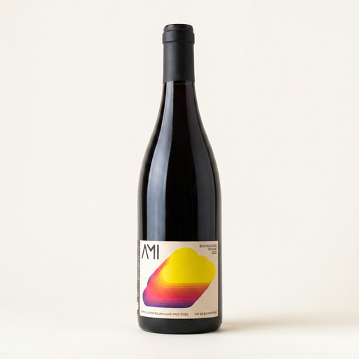 Domaine Ami Bourgogne Rouge Tête dans les Nuages 2022