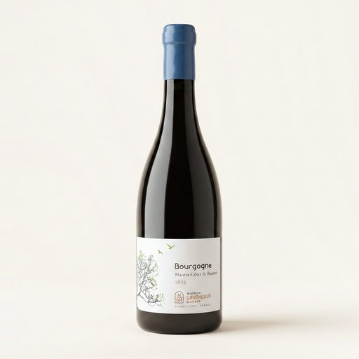 Maison Gautheron D'Anost Bourgogne Hautes Cotes de Beaune Blanc 2023