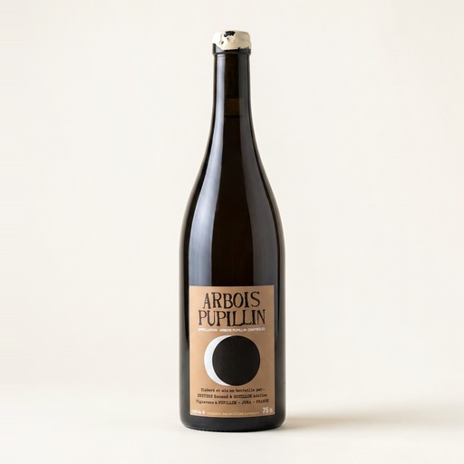 Bruyere & Houillon Arbois-Pupillin Chardonnay Vieilles Vignes 2015