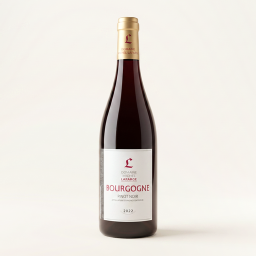 Lafarge Michel Bourgogne Pinot Noir 2022