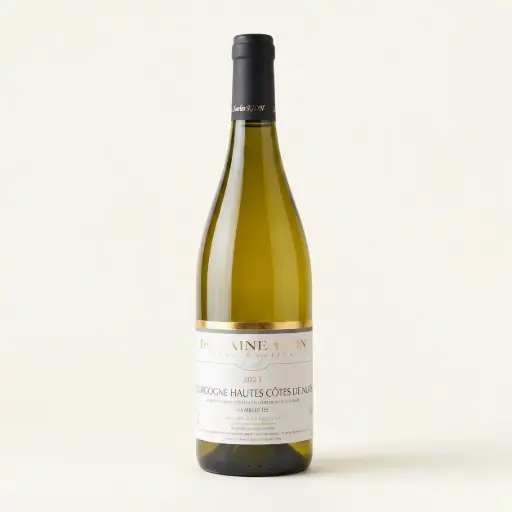 DOMAINE JEAN-CHARLES RION BOURGOGNE Hautes-Côtes de Nuits blanc 2022 