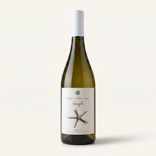 Antica Enotria Falanghina IGT Puglia 2025