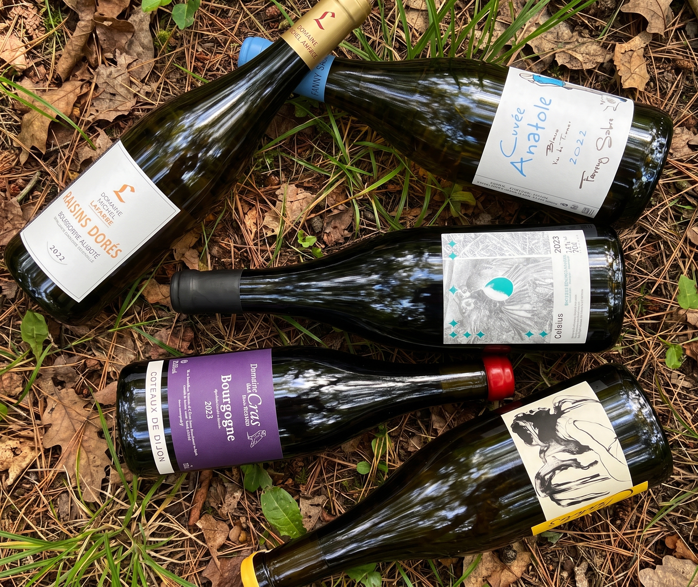 La Bourgogne au naturel